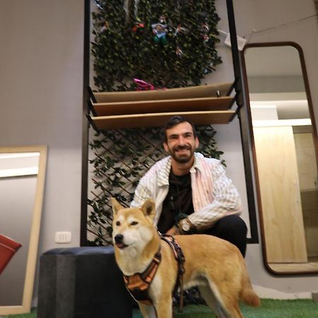 לימה Sabina Aeropuerto Hostel מראה חיצוני תמונה